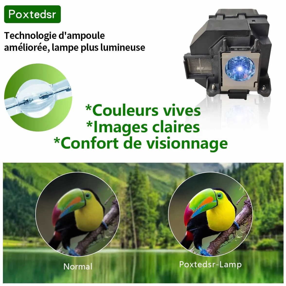 EL PLP95 projektor Ersatzlampe Kompatibel mit EPSON EB-2055 2065 2140W 2155W 2245U 2250U 2255U 2265U 5530U 5510 PowerLite 2245U 2065 2250U 2255U 2155W 2165W 5530U 5535U Ersatzlampe mit Gehäuse