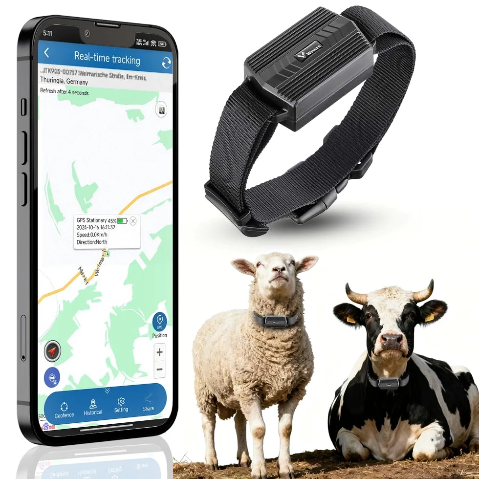 4G GPS Tracker für Rinder, Echtzeit Tracking, 3000 mAh, Anti Verlust GPS Halsband, Geofence, 180 Tage historische Bewegungsdaten, für Rinder, Schafe, Pferde, Kamele für die Farmverwaltung TK935