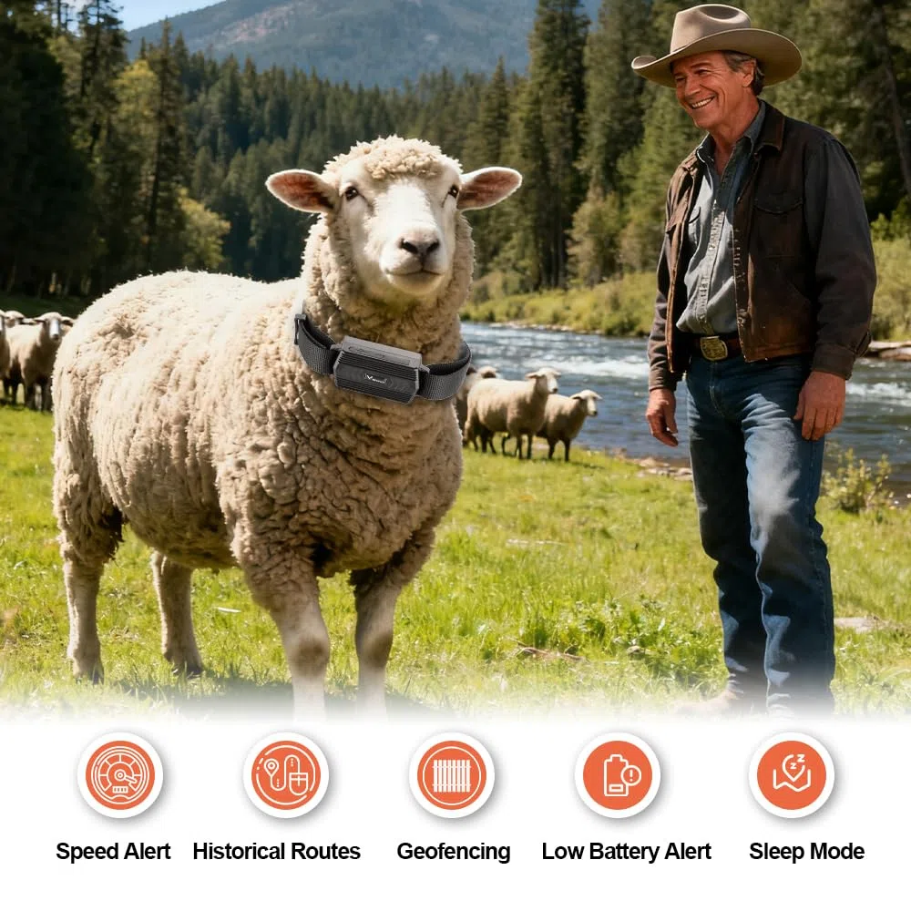 4G GPS Tracker für Rinder, Echtzeit Tracking, 3000 mAh, Anti Verlust GPS Halsband, Geofence, 180 Tage historische Bewegungsdaten, für Rinder, Schafe, Pferde, Kamele für die Farmverwaltung TK935